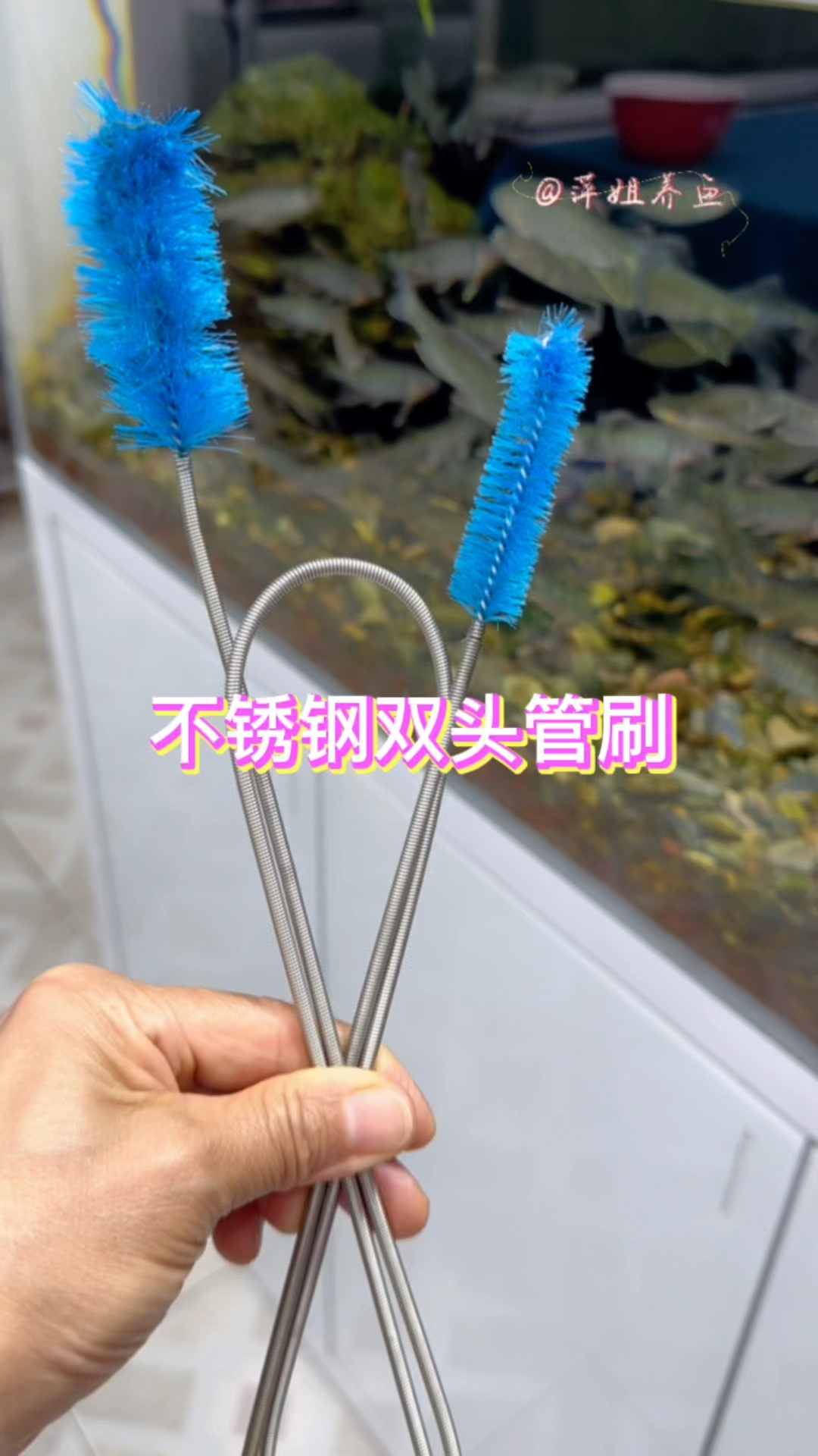 过滤器管道内壁的污垢和藻类,清理起来再也不头疼了#水族 #鱼缸里的大自然 #观赏鱼