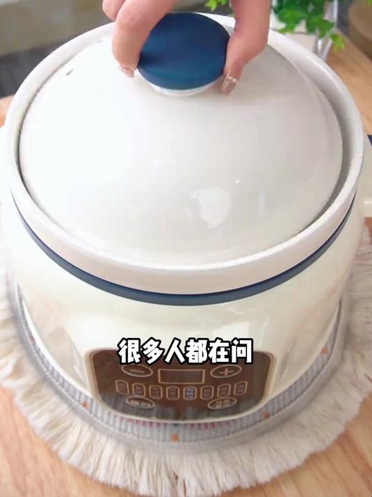 多功能电炖锅,陶瓷养生锅,煲汤炖汤煮粥热粥,24小时预约定时!