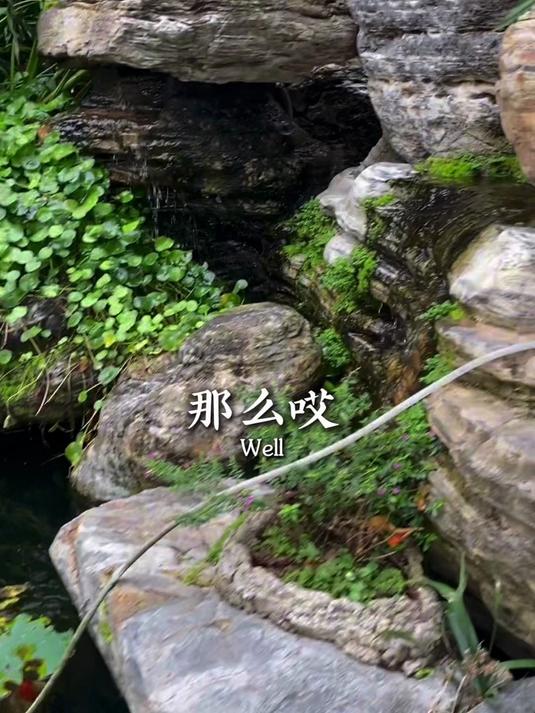 别墅庭院鱼池、流水假山、泰山石假山 很难打理么？#中山鱼池清洗#中山鱼池设计#