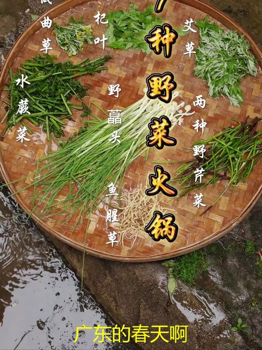 广东人涮火锅必吃的7种野菜第7种让客家阿婆直摇头你敢试吗 乡野