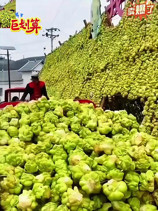 正宗涪陵榨菜丝美味下饭菜真的太好吃了!