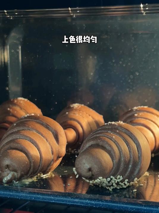 自制双重巧克力盐面包！新手手揉，不需要厨师机的保姆级教程！