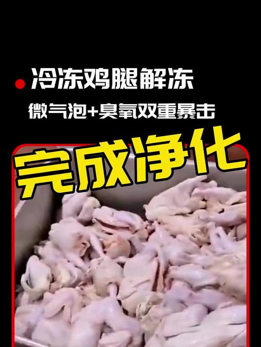 冷冻鸡腿解冻后还带腥?微气泡+臭氧双重暴击 鼓泡清洗机