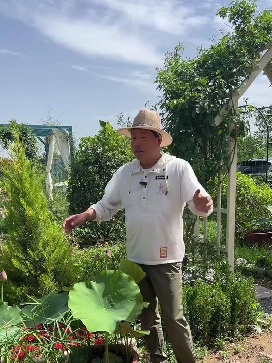 看看我的花园都种了些啥 各种花，水果 蔬菜！主打的就是一个多！