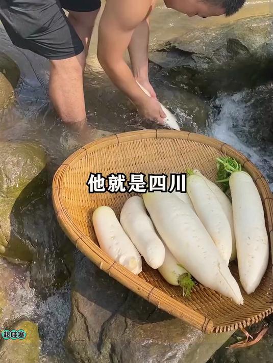 这个高山脆萝卜干真的给我香迷糊了咬一口又香又辣又脆我真的超爱
