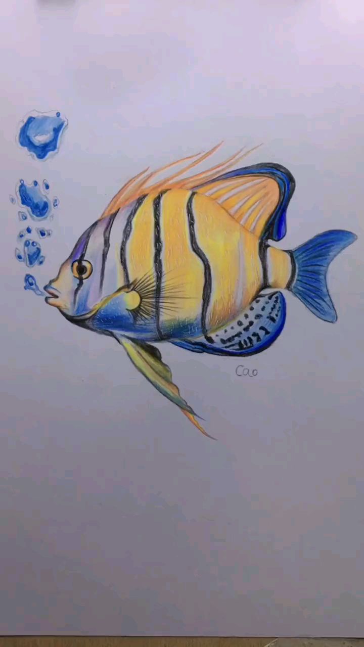 彩铅简笔画:教大家画大海里的鱼
