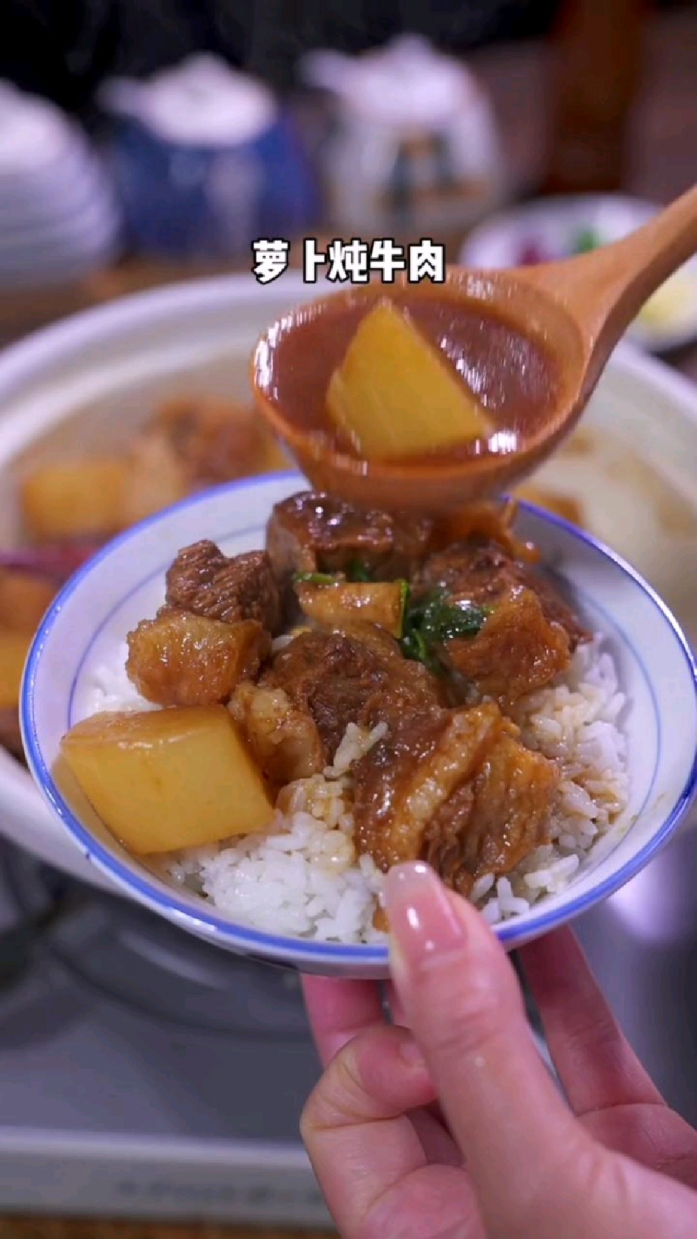 家常版的牛肉炖萝卜