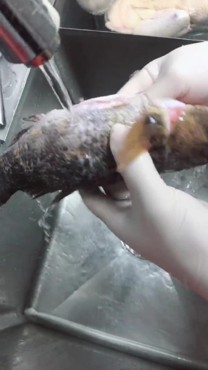 腊肠蒸笋壳鱼,我走不寻常路。腊肠的香味融合在一起