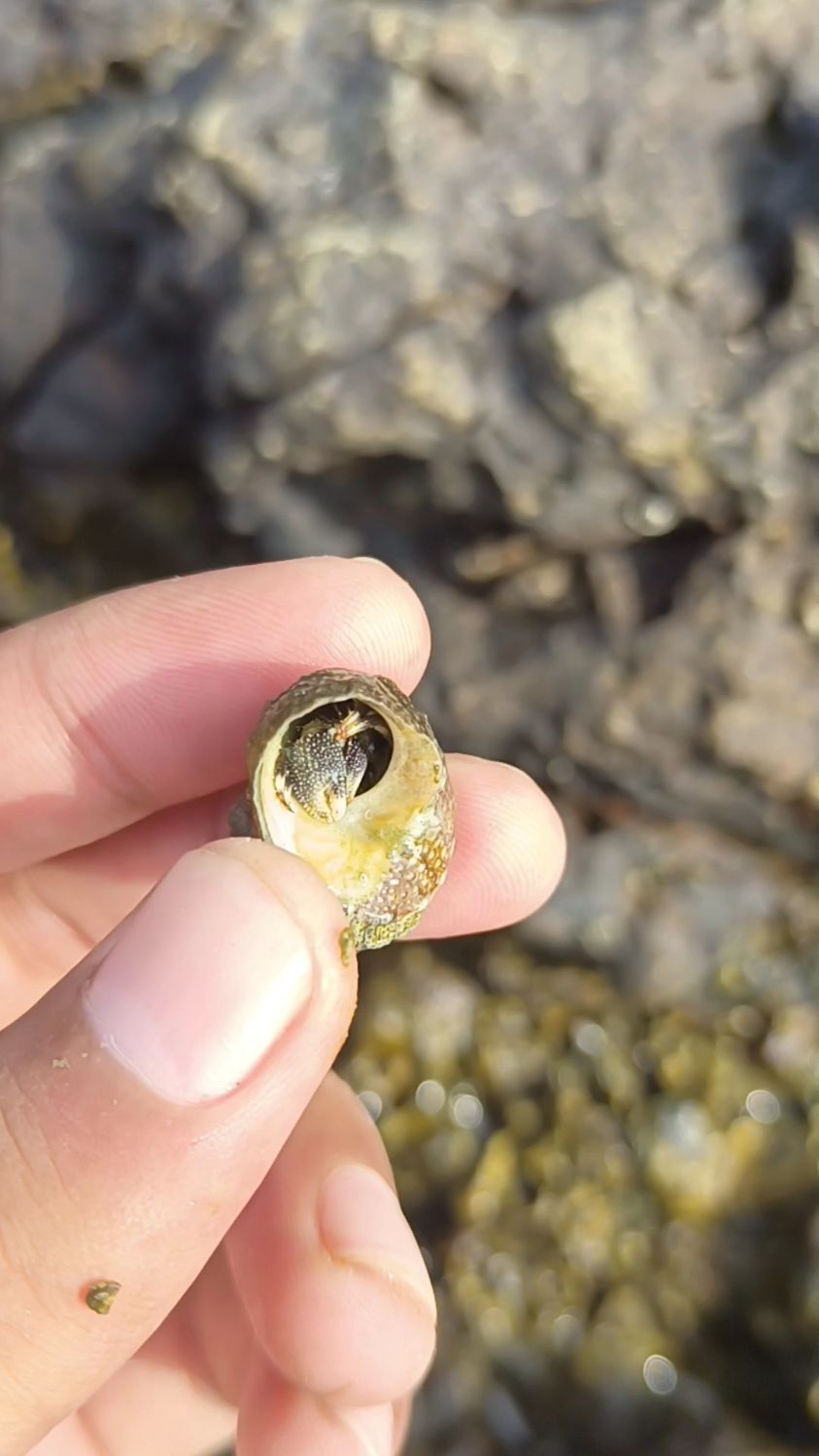 未知生物,有知道的吗