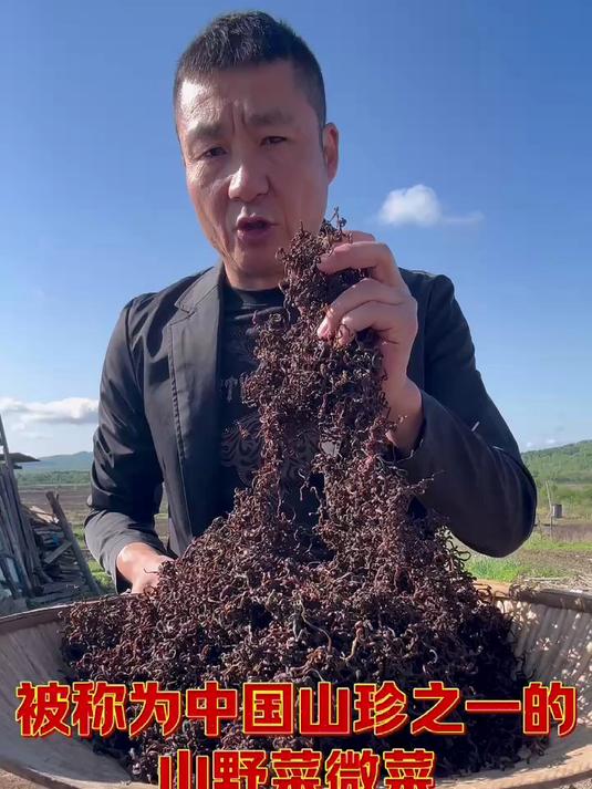 大山里的美味山野菜微菜也叫牛毛广,营养价值丰富