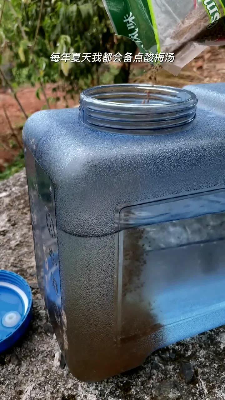 天气这么热怎么少了酸梅汤呢!