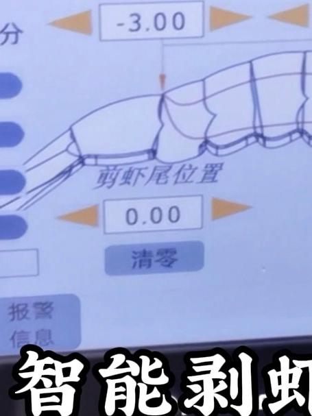 对虾剥虾机,白虾去虾线机,自动蝴蝶虾加工设备