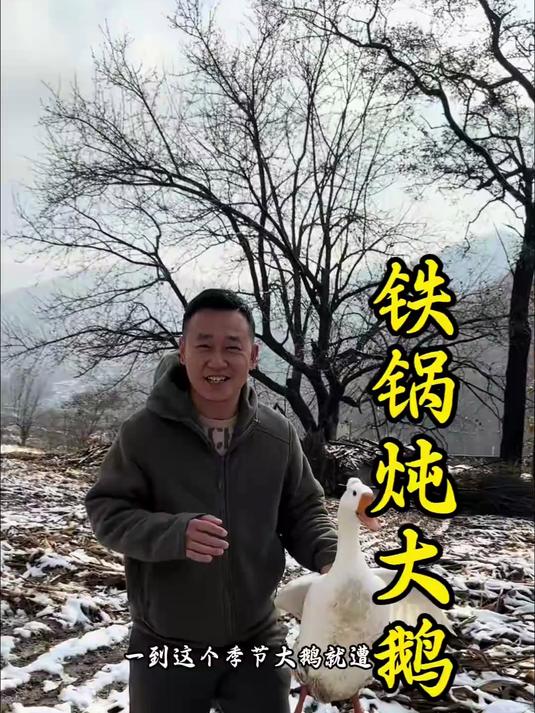 一到这个季节就适合铁锅炖大鹅#雪景##我的真实农村生活##三农#