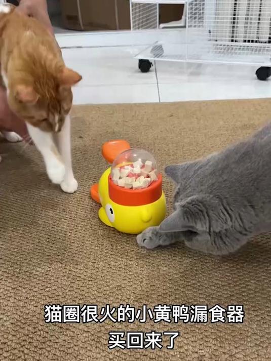 喂宠不费劲儿！小黄鸭漏食带响藏粮，猫狗疯扑玩着吃饱！