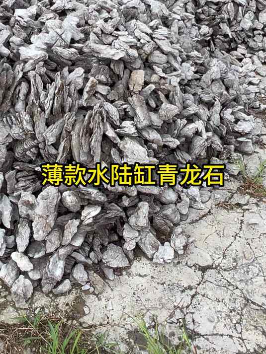 薄款青龙石水陆缸假山精选素材