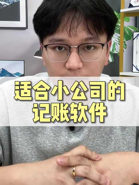 适合小公司用记账软件