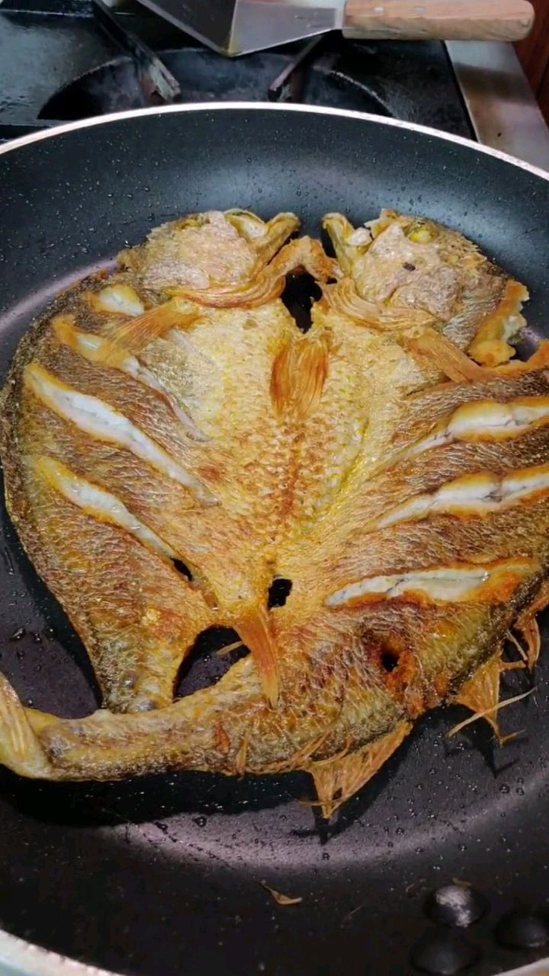 烤小黄鱼味道真好,要不要试试