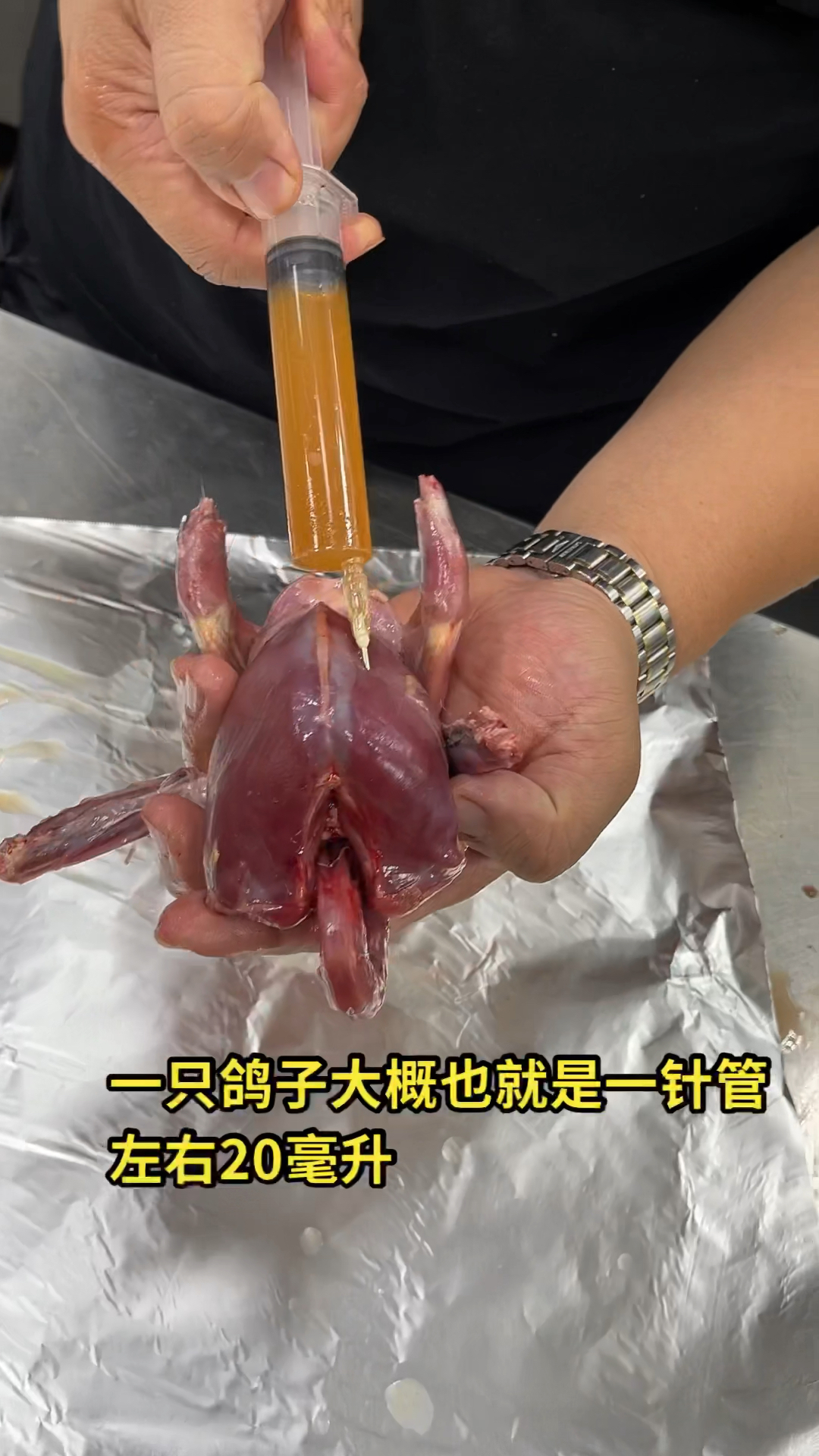 烧烤配方烧鸽子