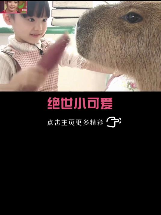 高质量 芦田爱菜小时候能有多可爱？