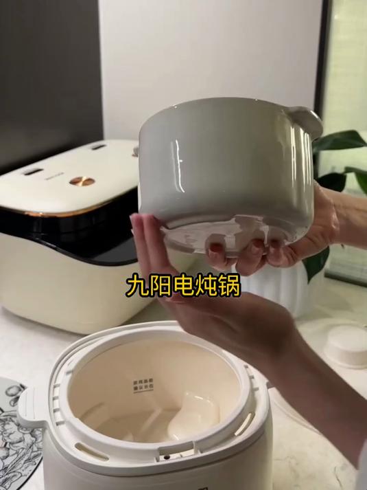 九阳电炖锅,宝宝辅食神器,炖煮更快捷!