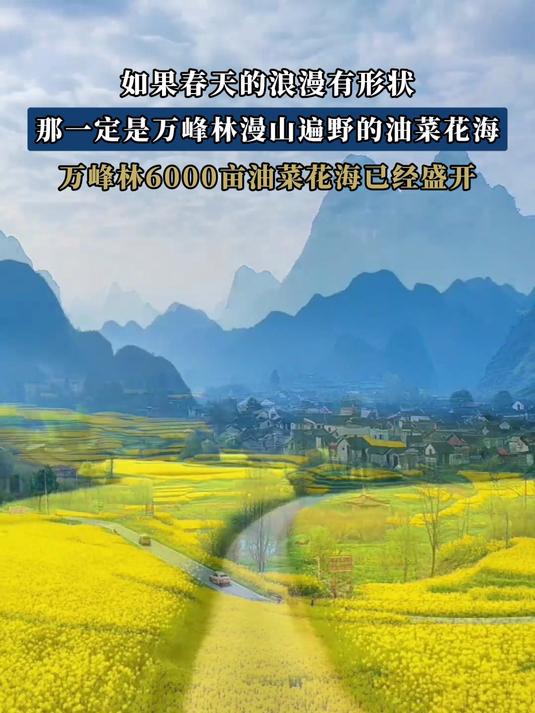如果春天的浪漫有形状,那一定是万峰林漫山遍野的油菜花海