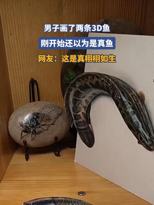 男子画了两条3D鱼，刚开始还以为是真鱼，网友：这是真栩栩如生