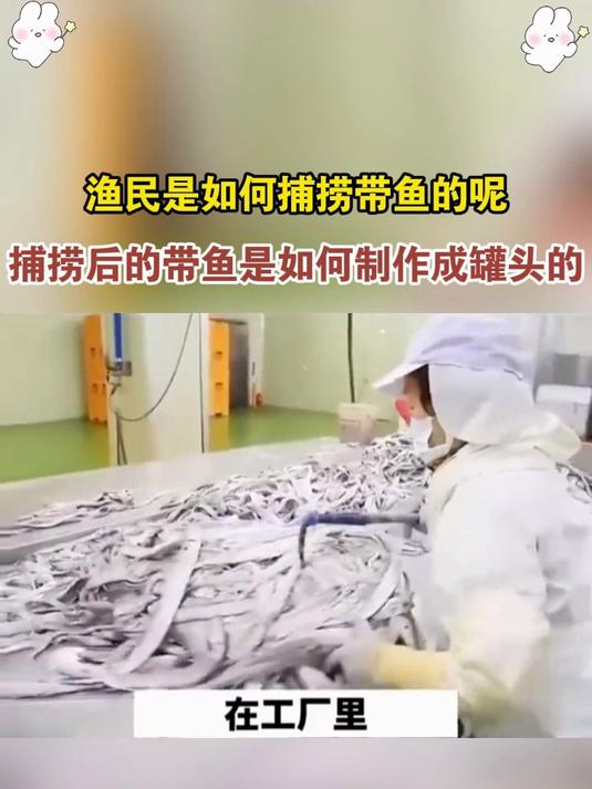 便携罐头随身带!带鱼美味即享,加班追剧好搭档!