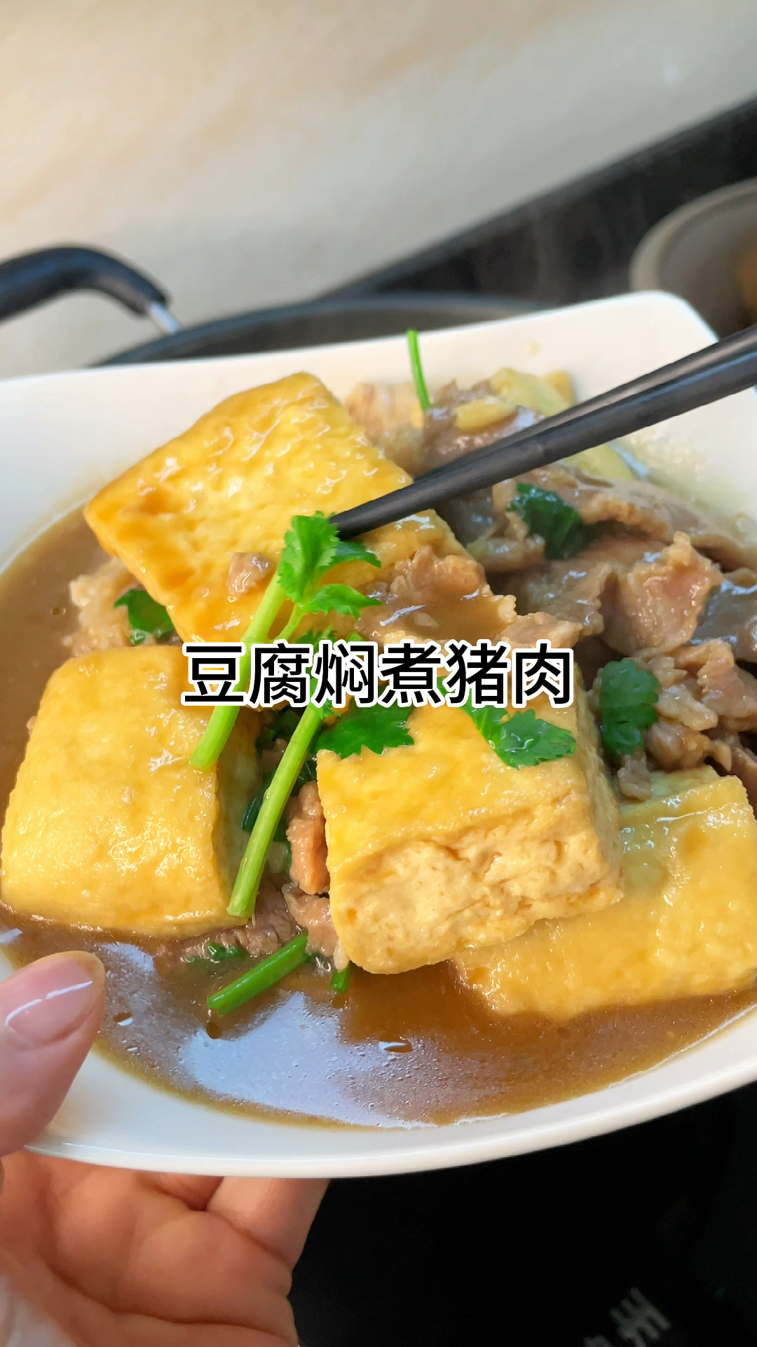 豆腐焖猪肉真的好吃又下饭,入味又好吃家常做法简单美味