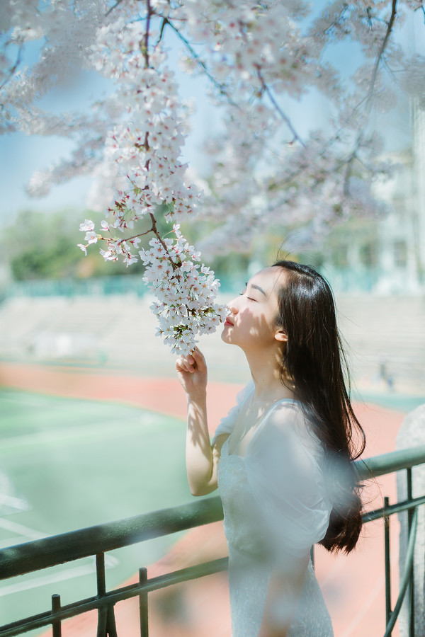图片[10]-樱花再见-六色网