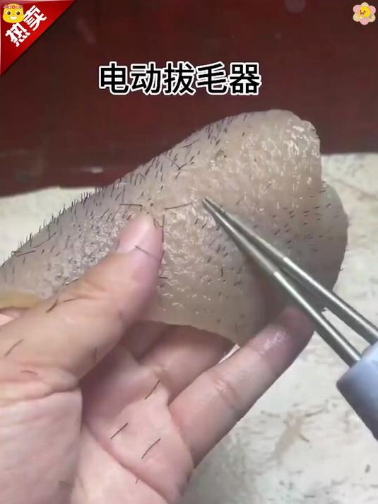 「过年必备」家禽电动拔毛神器可充电鸡毛鸭毛手持脱毛机!