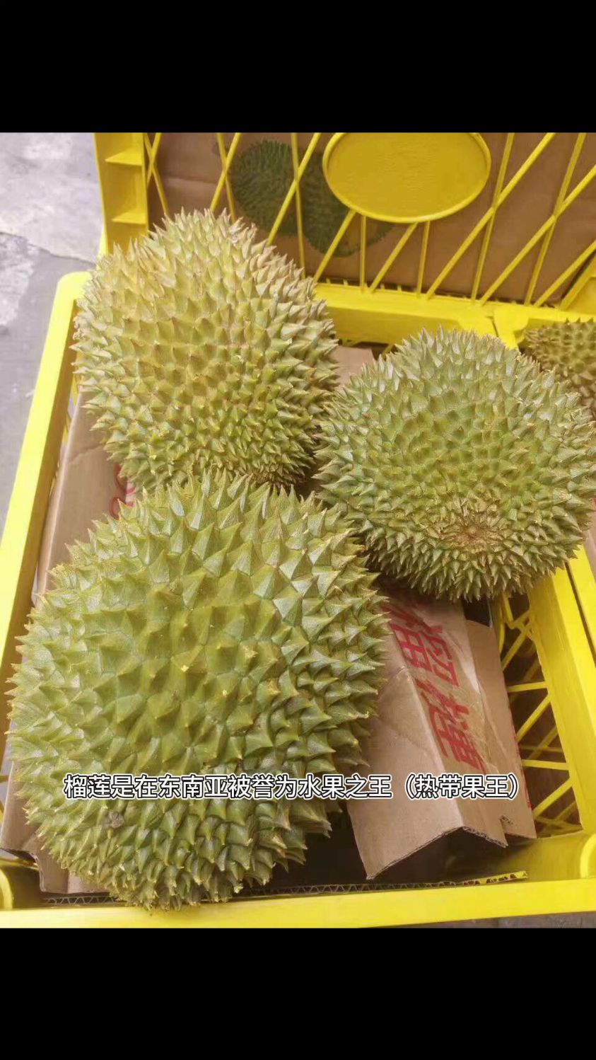 榴莲对女人的十大“魔力”