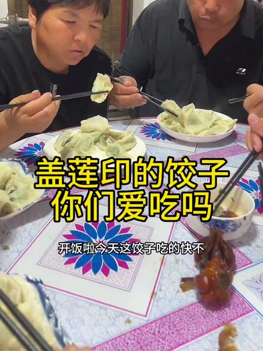 下雨天吃饺子,茴香肉,韭菜鸡蛋无敌的馅