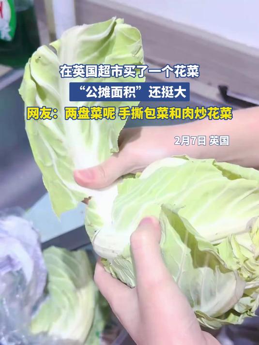 在英国超市买了一个花菜,“公摊面积”还挺大,网友:两盘菜呢 手撕包菜和肉炒花菜