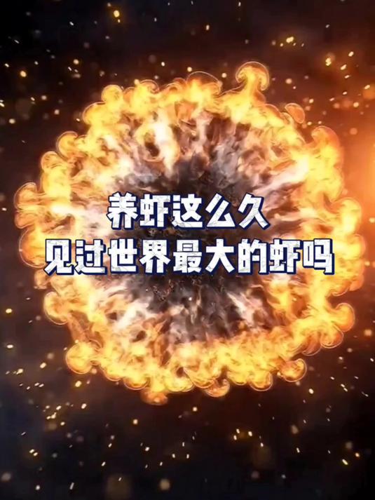 你见过世界上最大的虾吗?今天,小编就跟大家分享!