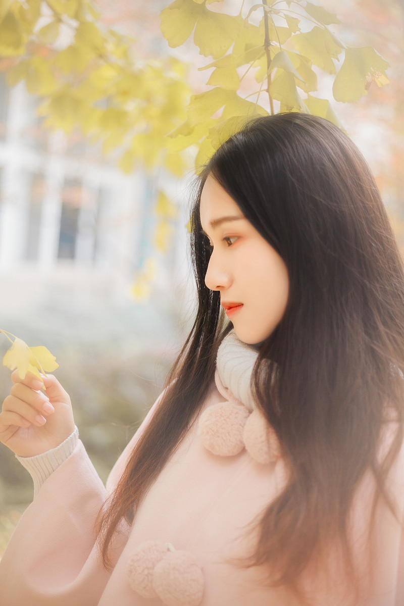 图片[3]-学校的银杏-六色网
