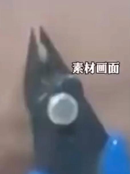 长了一个小“刺猴”竟然自己用钳乎拔掉隔着屏幕都感觉到了疼