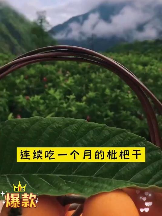 竹盐枇杷干,竹蜂盐黄皮干,甘草黄皮干 润肺止咳