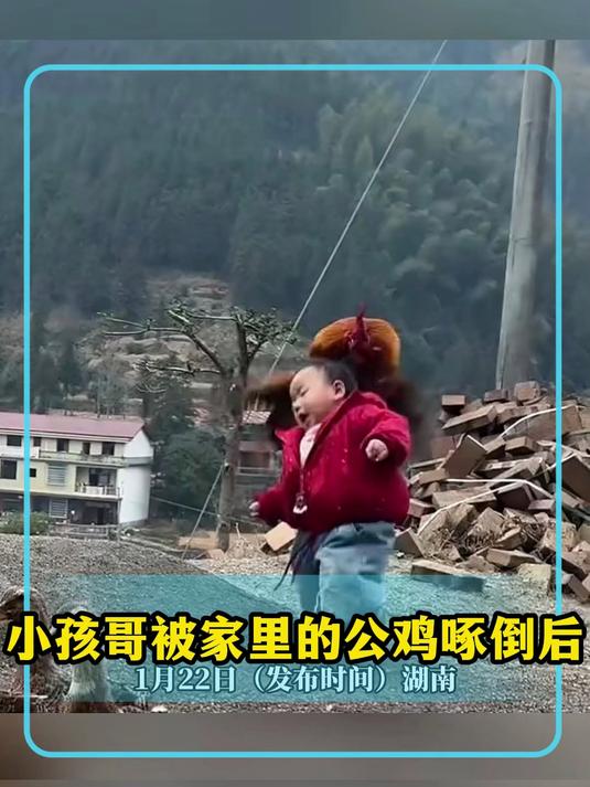 小孩哥被家里的公鸡啄倒后,爷爷当场抓鸡拔毛杀鸡煮熟一气呵成