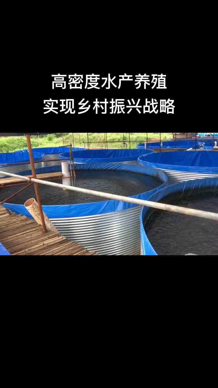 看到客户的鱼养成功,我就放心了。