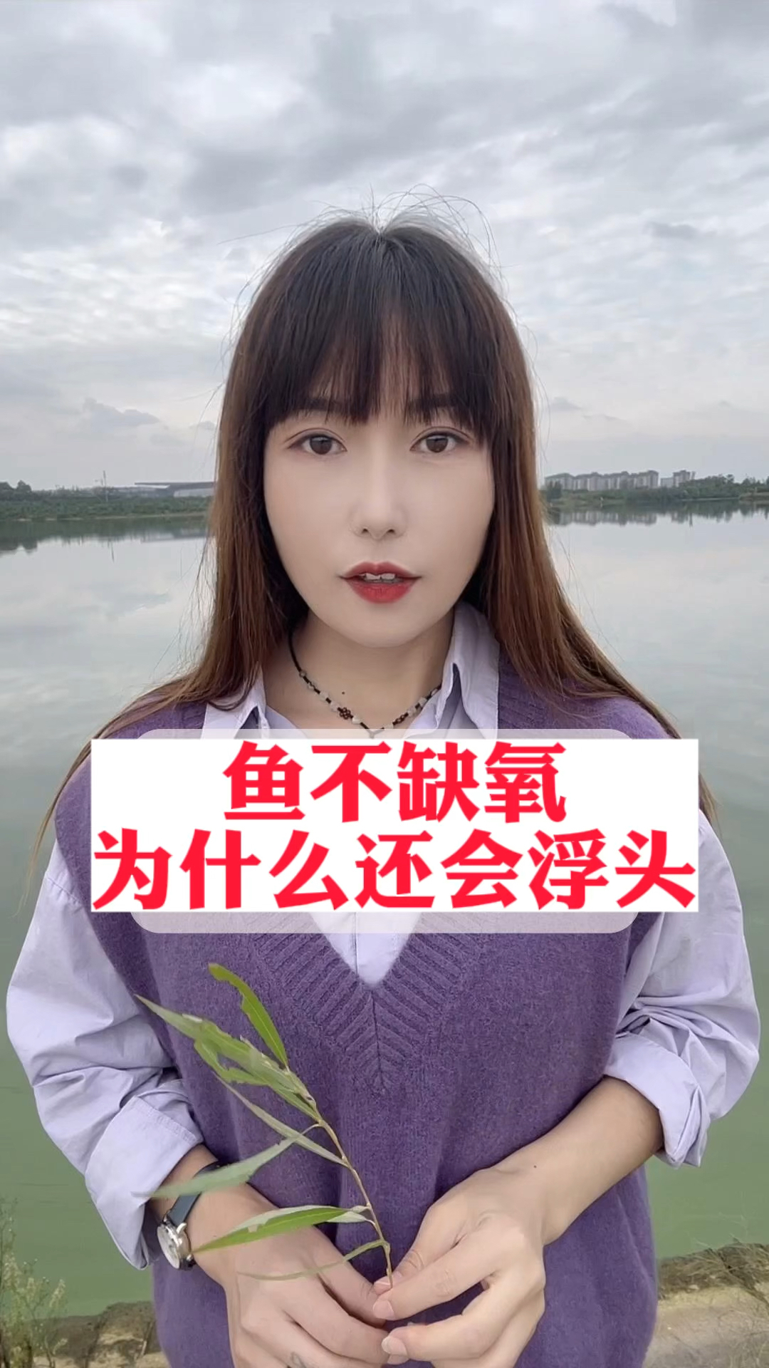 鱼不缺氧为什么还会浮头