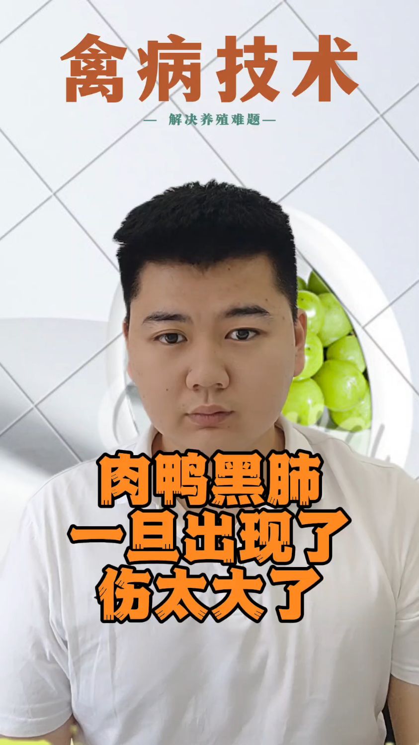 #鸭肺发黑是什么原因鸭子的肺变黑是什么鸭肺发黑是什么原因肉鸭肺发黑是怎么回事肉鸭黑