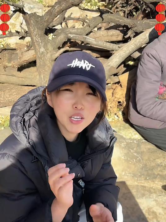 无核黑枣太行山里有三宝黑枣软枣小柿子软糯微甜