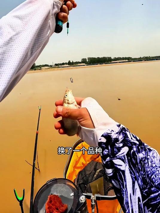 黄河探钓，野钓，钓鱼，钓鱼人