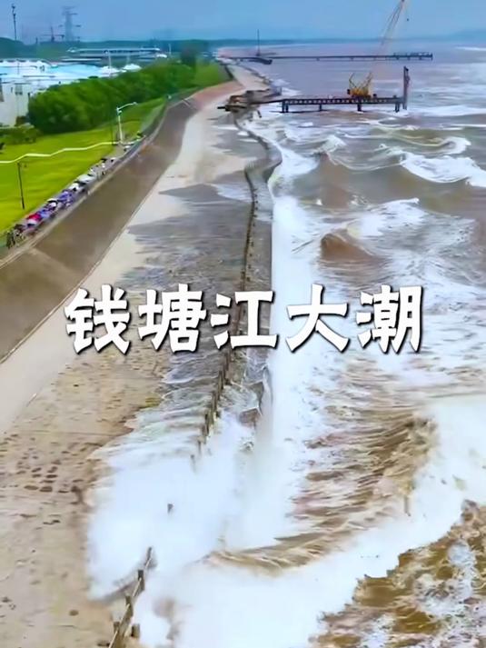 钱塘江大潮逐渐进入最佳观赏期，小学课本里的钱塘江大潮你看过了吗？#花满春城我代言#
