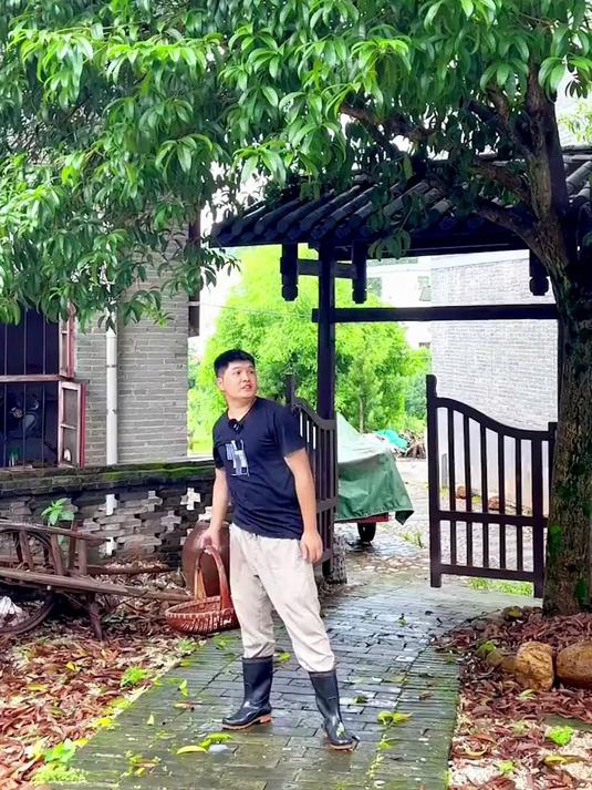 健康加分项甲鱼蛋,营养满满超给力