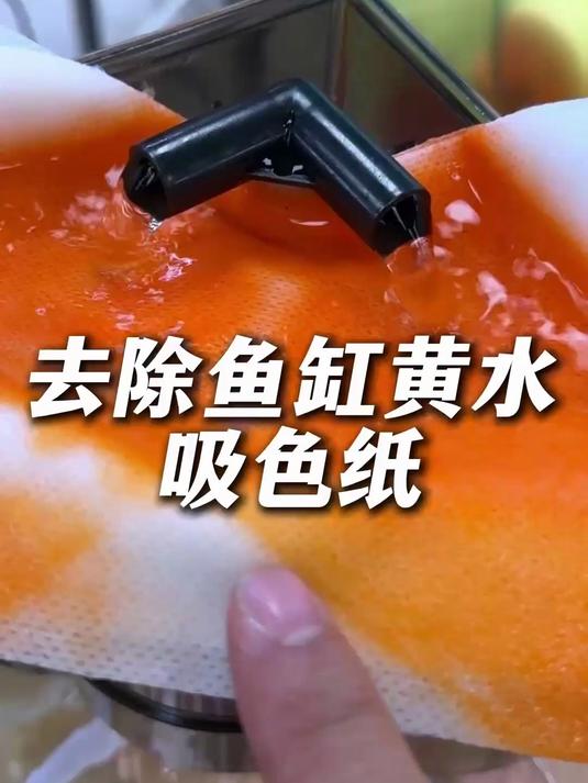 懒人养鱼养鱼必备,几块钱就可以快速解决水黄!减少换水烦恼!