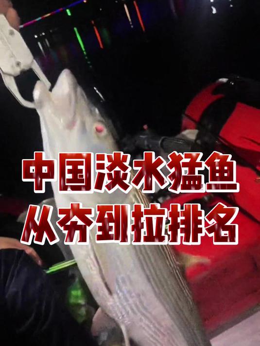 中国淡水猛鱼从夯到拉排名