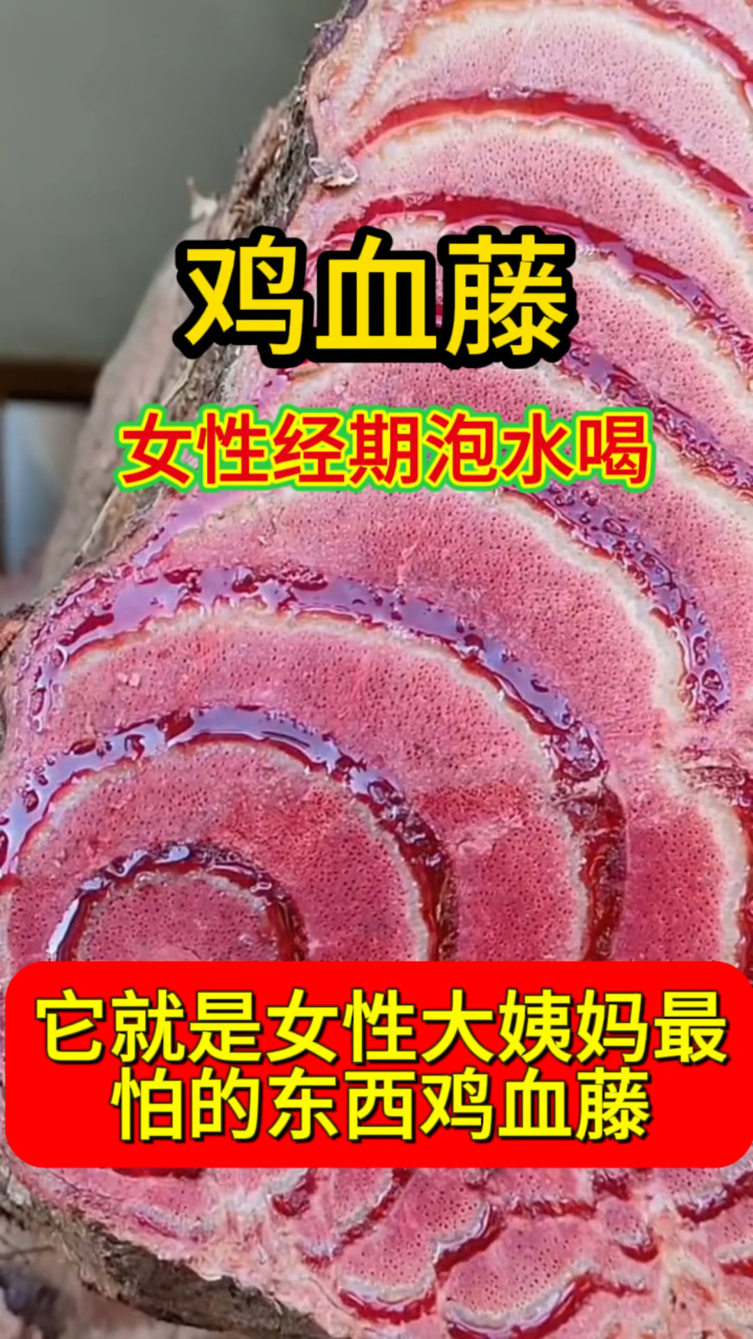 鸡血藤,女性经期泡水煮水喝,收好了