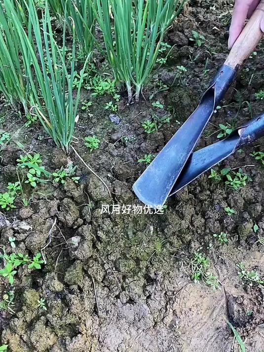 种菜神器锰钢小铲 挖野菜种花除草 阳台菜园挖土养花工具#锰钢小铲子##挖野菜小铲子##铲子
