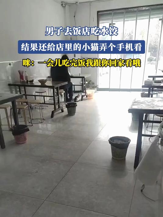 男子去饭店吃水饺，结果还给店里的小猫弄个手机看